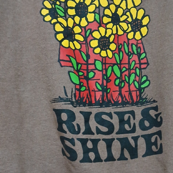 Peanuts Brown Hoodie with Woodstock Graphic - Picture 2 of 6